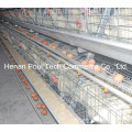 Hot Sale Galvanization Breeder Cage de poulet (type A)